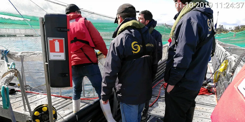 Charges relate to a Salmones Aysen growout site in the Los Lagos region of southern Chile.