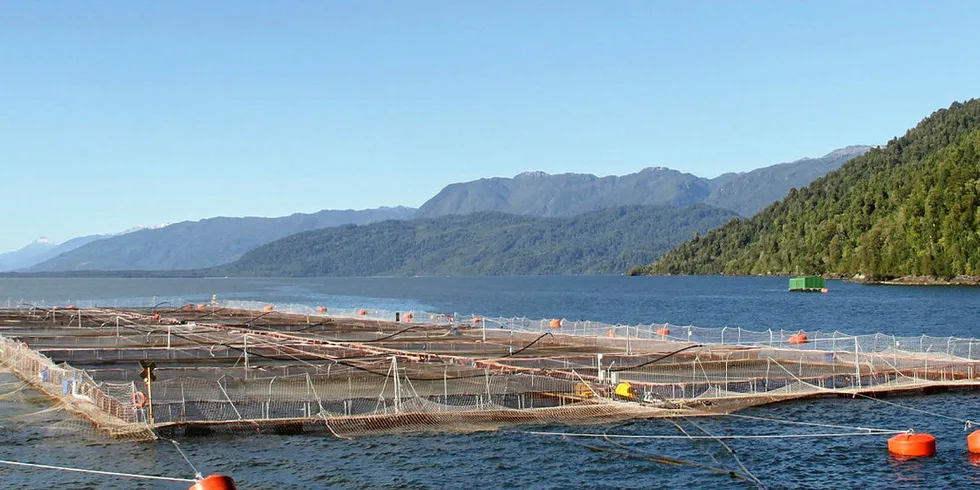 Authorities want more economic impact from Aysen's salmon industry.