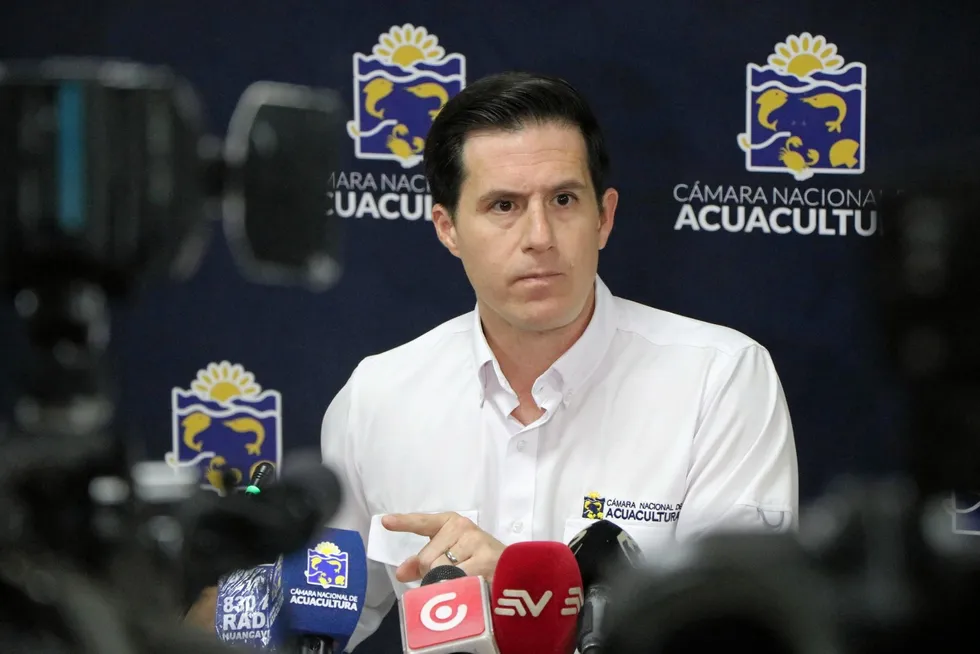 "We started the year, let's say, with an expectation of a different situation than we have lived in the last two and a half years," Jose Antonio Camposano, executive president of shrimp producers' trade association Camara Nacional de Acuacultura (CNA), told IntraFish.