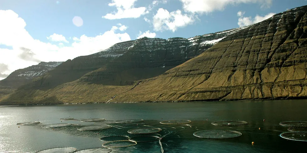 A Bakkafrost salmon farming site.