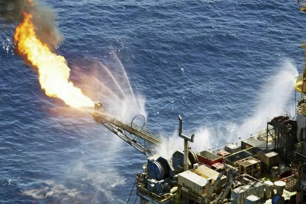 Looking for partners: for the Neon and Goia oil discoveries off Brazil