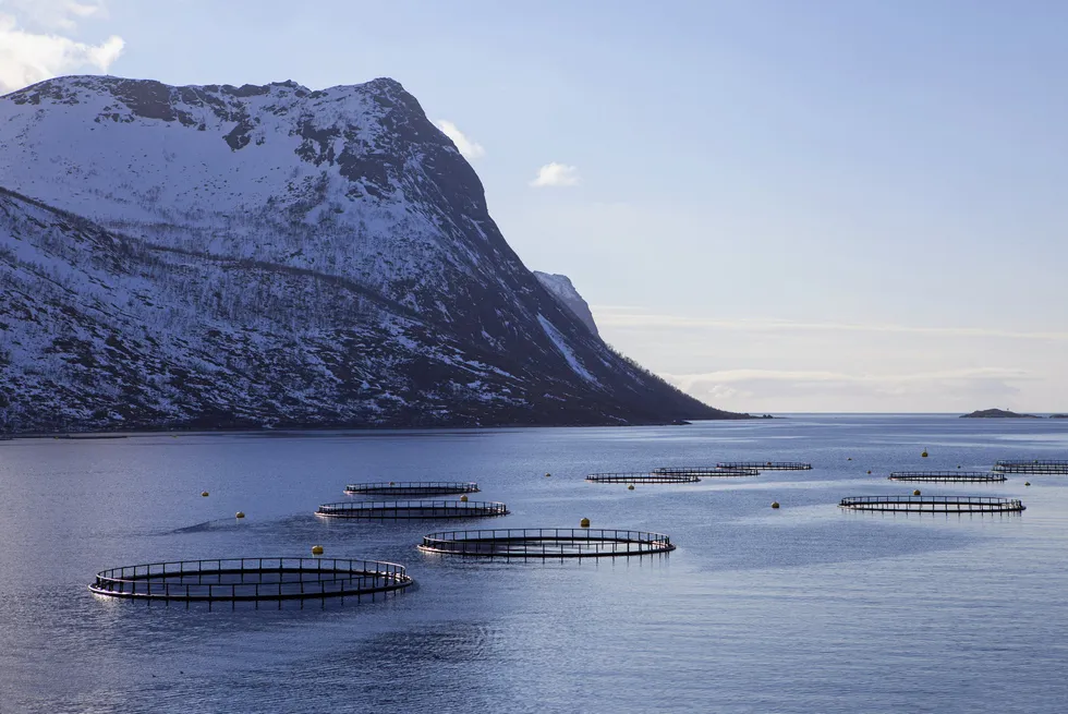 A salmon farm in Senja, northern Norway.