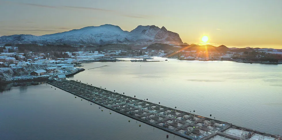The disease has been detected at individual locations in Nordland in the past, with the last case being recorded in 2016.
