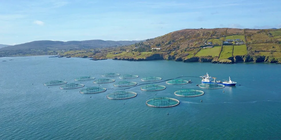 Mowi has 13 operations across five coastal counties in Ireland. It employs nearly 300 people there, recording annual sales of €66.1 million ($73.1 million).