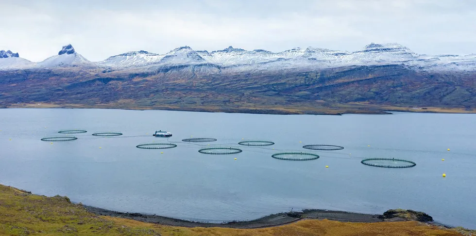 An Ice Fish Farm salmon farming site in Iceland. The company confirmed an oubreak of the deadly infectious salmon anemia (ISA) virus at two sites.