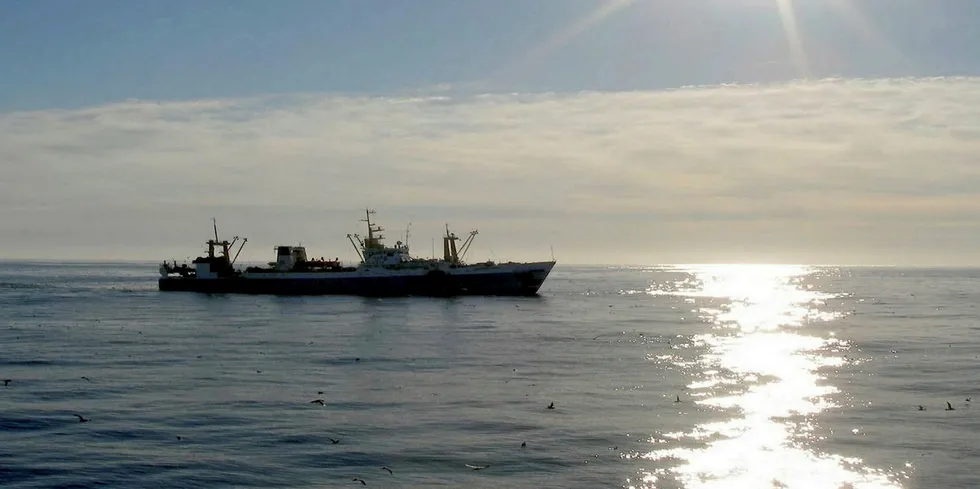Russian pollock producers are using an FIP as a step toward MSC certification.