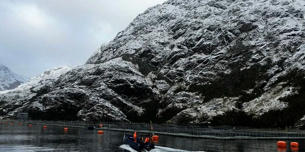 Sixty South in the pure Antarctic waters of Porvenir, Tierra del Fuego.