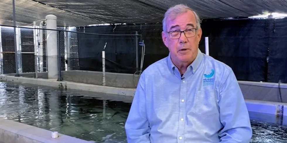 Don Kent is CEO of Pacific Ocean AquaFarms and the Hubbs-SeaWorld Research Institute.