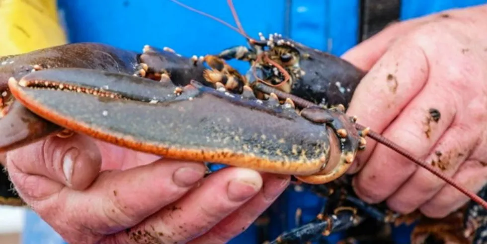 'After 12 years in this sector we find it depressing that so little progress has been made in terms of marine environmental protection,' said the company.