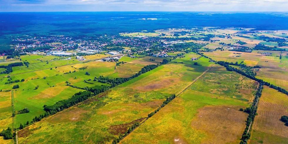 BayWa r.e.'s Witnica solar project area in Poland
