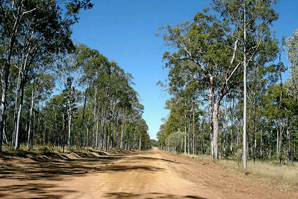 Queensland's Surat basin: Senex will start a drill campaign next month