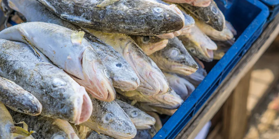 The average export price of frozen whole cod was at a record high in October at NOK 57 (€5.50/$5.40) per kg.