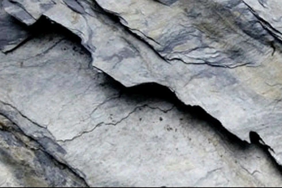 Shale hit: JGC has recongnised a loss on a Canadian shale project