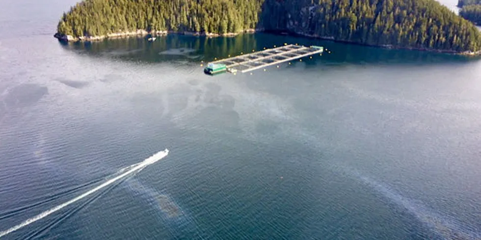 Cermaq has been fined for a diesel spill near Echo Bay that occurred in 2017.