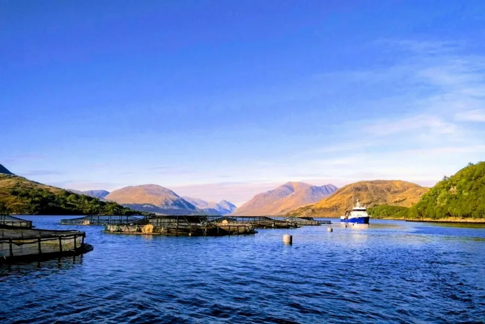 Scotland's salmon farmers are applying lessons learned over a challenging couple of years.