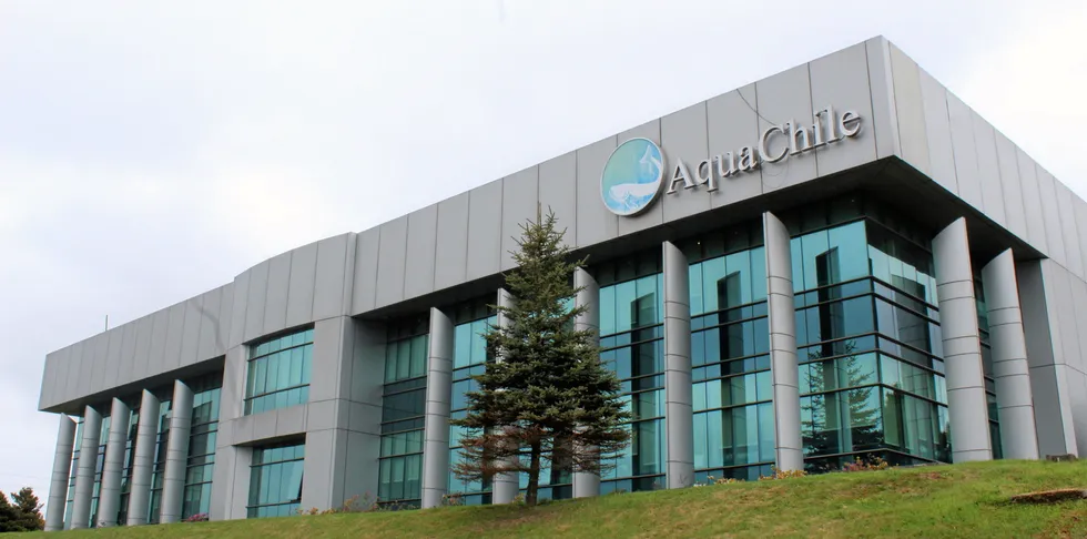 A tough year for everyone in the salmon sector in 2020. Not least AquaChile.