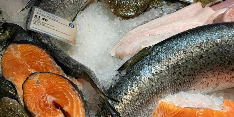 Fresh fish counter