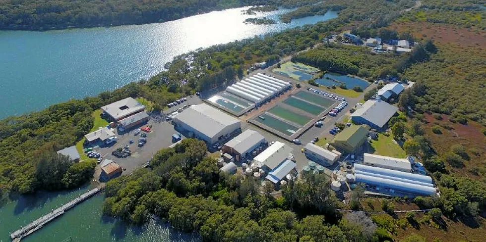 The Port Stephen Fisheries Institute undergoes expansion.
