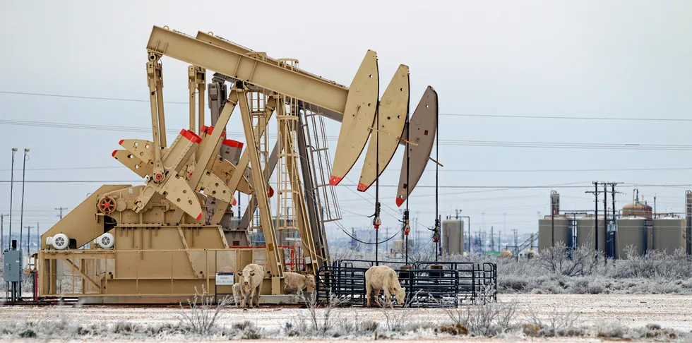 Cattle shelters from the cold next to frozen pump jacks in Midland, Texas in February 2021