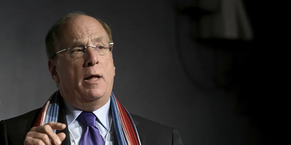 BlackRock CEO Laurence Fink at the World Economic Forum in Davos in January 2020