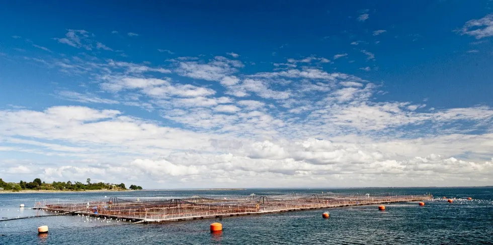 In 2019 the industry lost 85,697 fish.