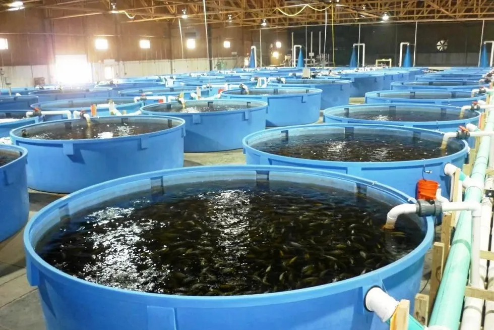 Is land-based fish farming coming to Alaska?