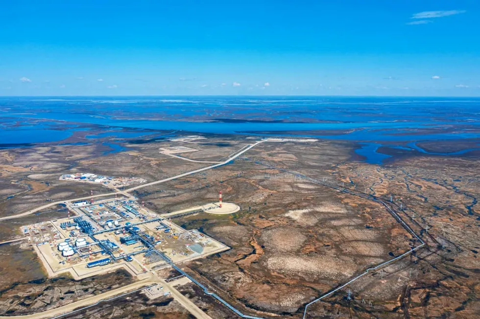 New partner: Tazovskoye oilfield in the Yamal-Nenets region in Russia will be operated by a joint venture of Gazprom Neft and Lukoil