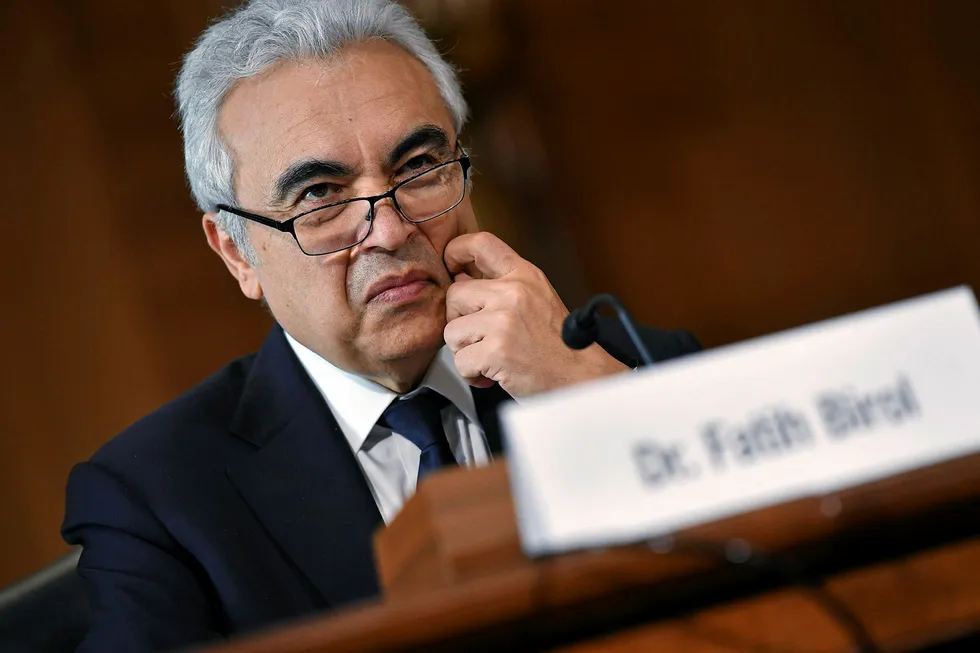 Report: IEA executive director Fatih Birol
