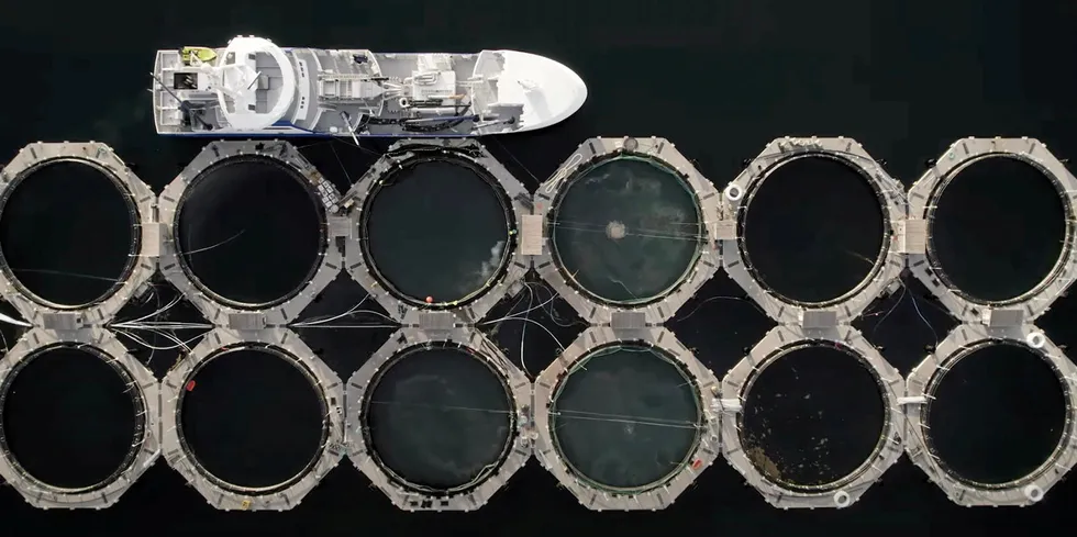 A bird's eye view of Akvafuture's closed containment farms in Norway.