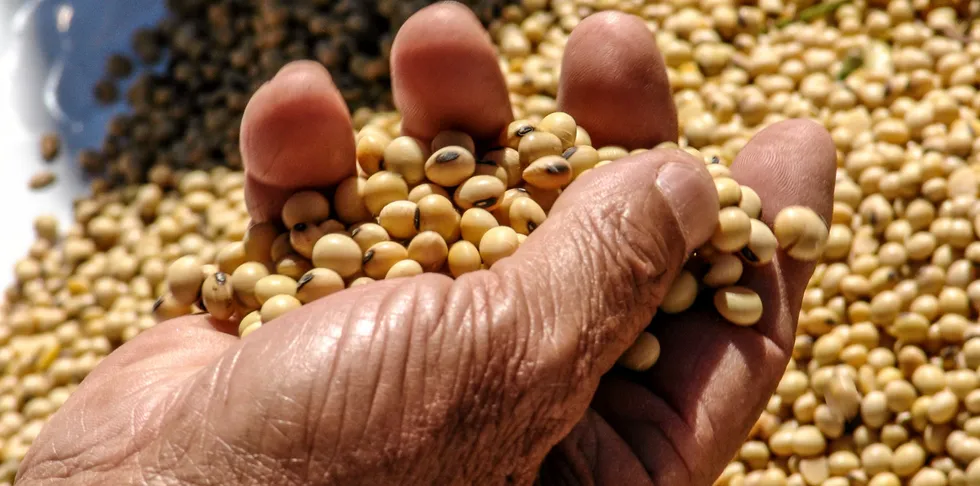 Aquafeed accounts for 70 percent of production costs. Inputs such as soy and corn have been rising rapidly.