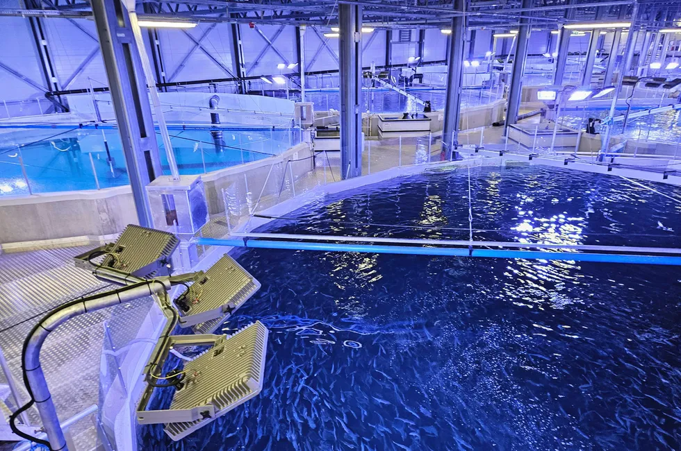 Mowi's new smolt facility in Norway's More og Romsdal region is the world's largest, producing around 6,200 metric tons of fish annually.