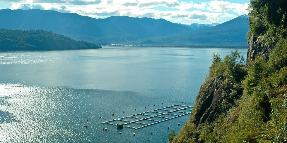 NGOs are arguing over elements of the ASC salmon standard.
