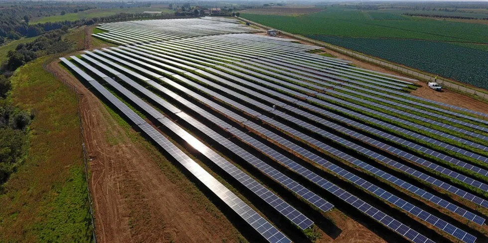A 70MW Octopus Renewables solar farm in Italy