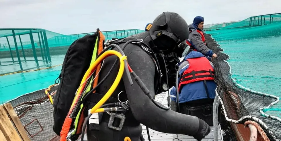 The number of diving injuries and accidents in Chile contrast sharply with levels seen in Norway over the past two decades.