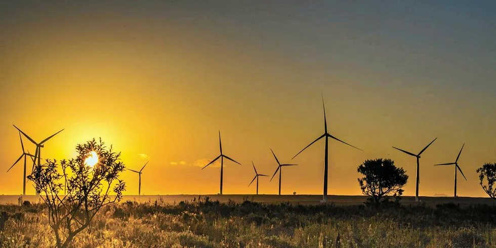 Jeffreys Bay wind farm in the Eastern Cape, which was completed this year as part of South Africa’s first tender round