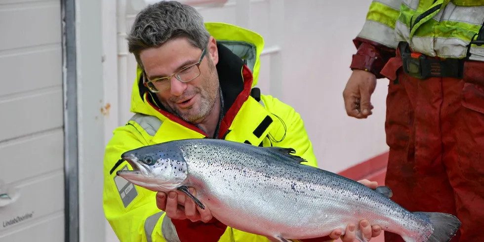 Salmon is worth more, making farmers love their fish a little bit more.