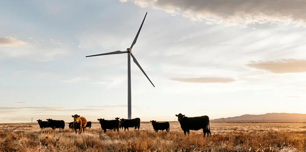 Danish pension funds PKA and Pensam invest in Texas wind farm