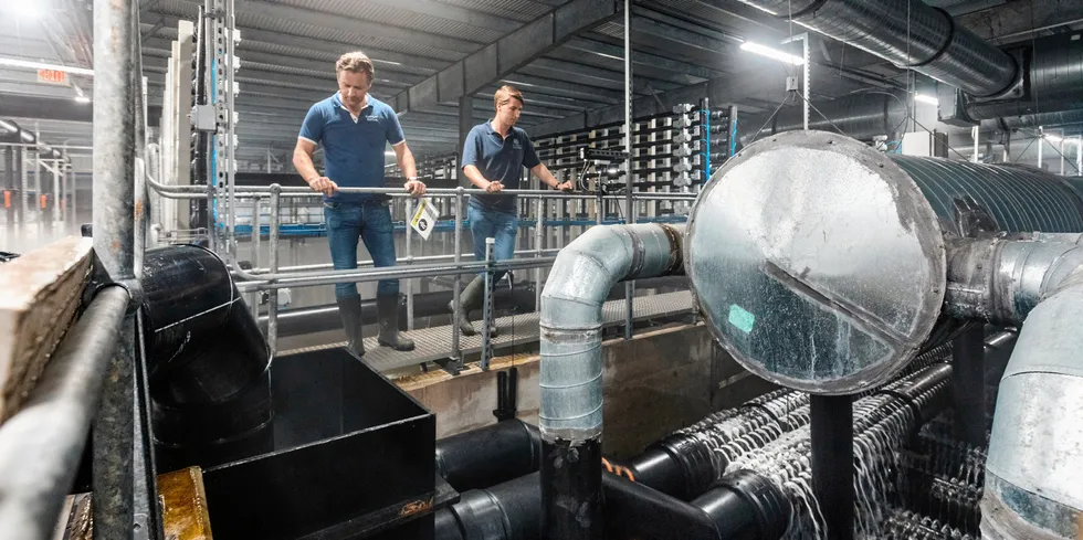 Atlantic Sapphire CEO Johan Andreassen and executive Karl Oystein Oyehaug are searching for answers to the problems plaguing the comany.