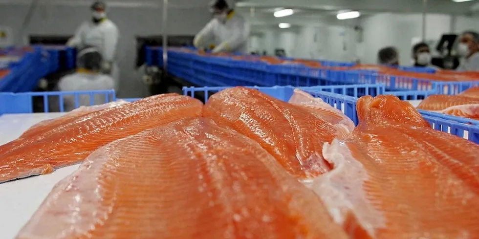It was another strong quarter for Chilean salmon shipments to China.