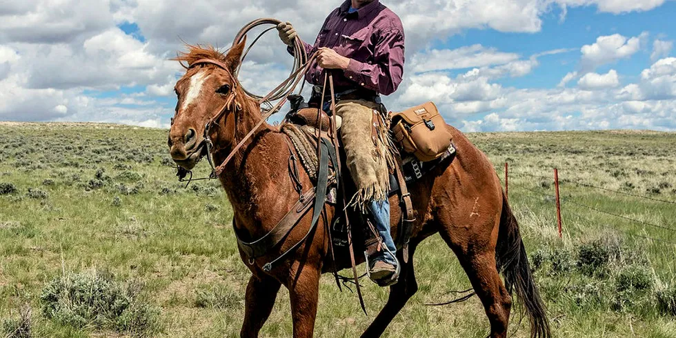 A local at work along the Wyoming-Colorado border.
