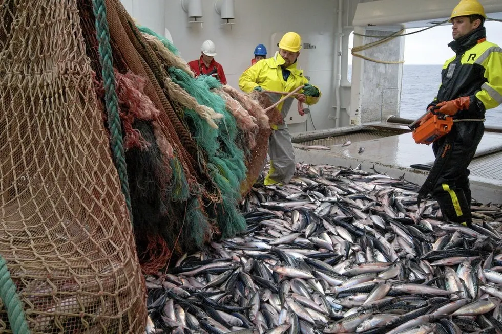Mackerel was highlighted as one source of a long-standing conflict between Norway and the EU.