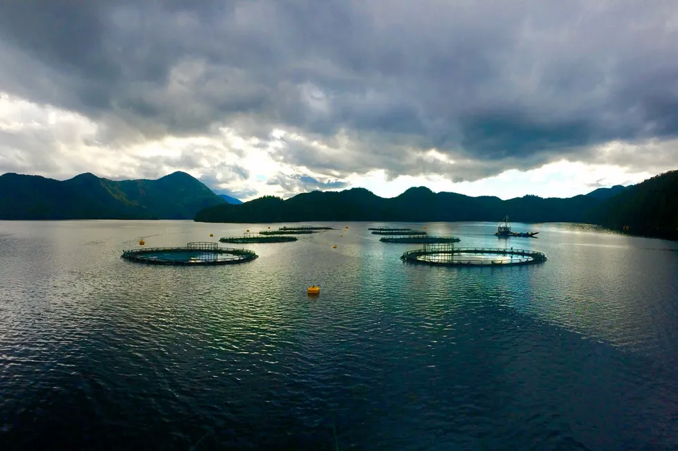 Mowi's Klemtu salmon farm in British Columbia, Canada.