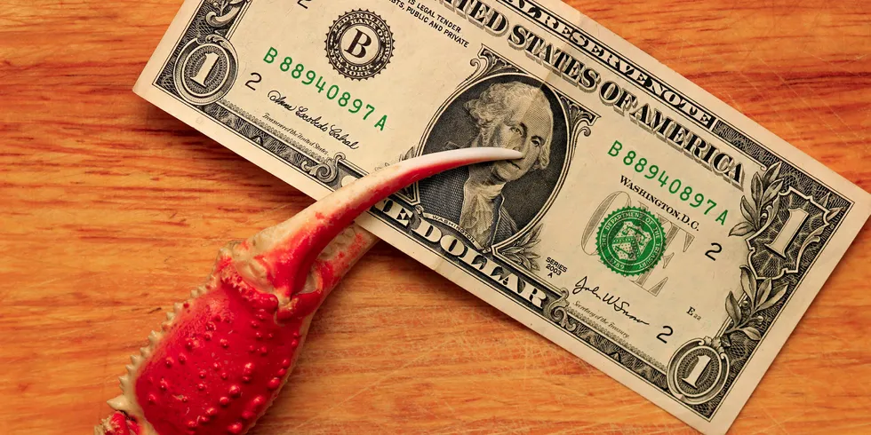 Investment money is flowing into the seafood sector, but where is it going?