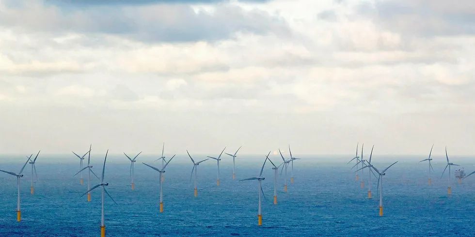 A picture taken from a helicopter shows wind turbines at the Belwind wind farm, off Belgium.