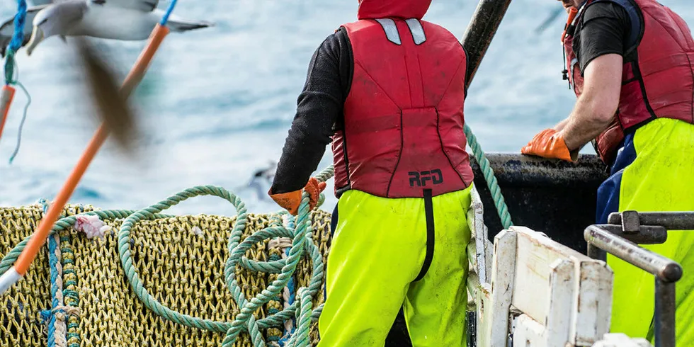 . hoki fishing new zealand.