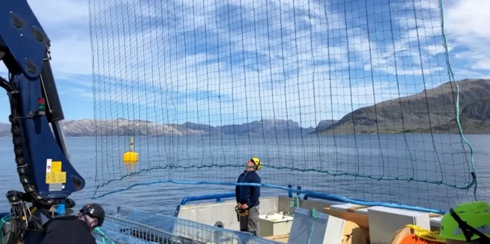 'This project will last about a year, but Mowi is also considering testing the technology elsewhere next year,' Harbor COO Bernt Aage Lie said.
