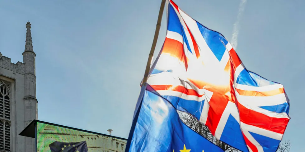 Brexit demo London.