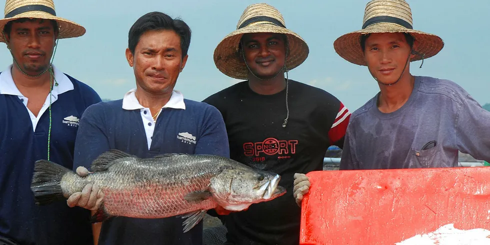 The team at Barramundi Asia.