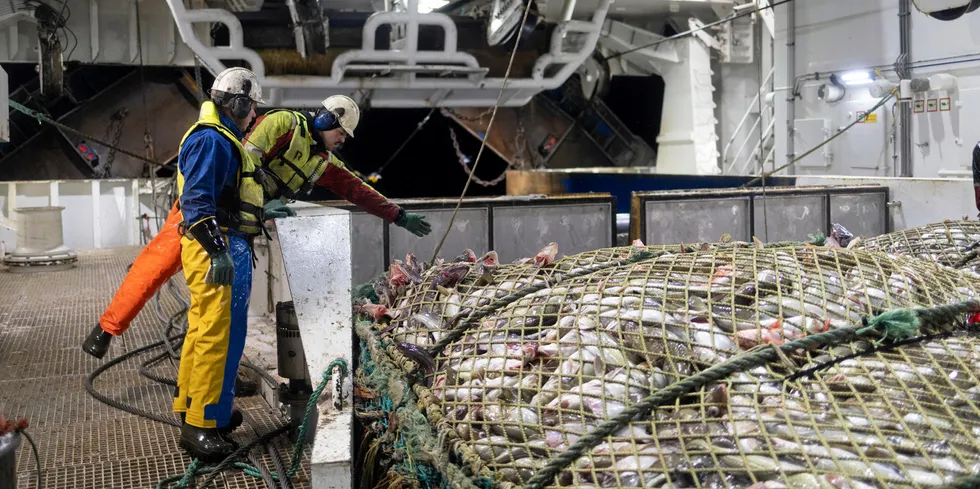 Leroy Havfisk has ten trawlers in the companies Nordland Havfiske, Finnmark Havfiske and Hammerfest Industrifiske.