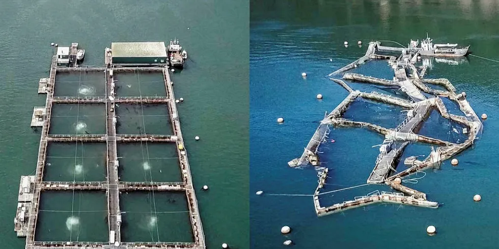 Cooke Aquaculture Cypress site -- broken salmon net pen.
